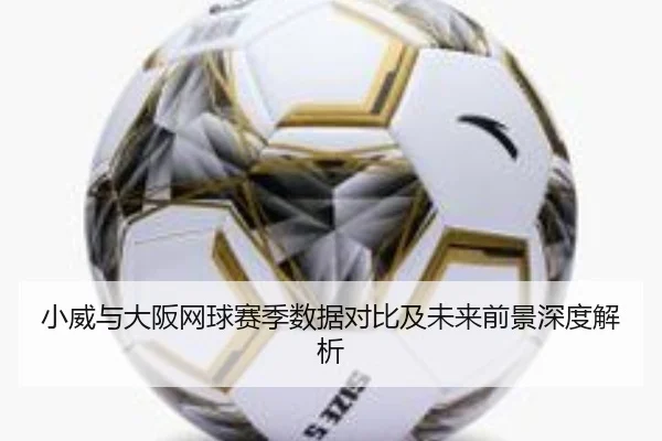 小威与大阪网球赛季数据对比及未来前景深度解析